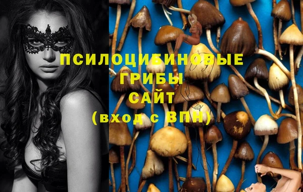 PSILOCYBIN Навашино