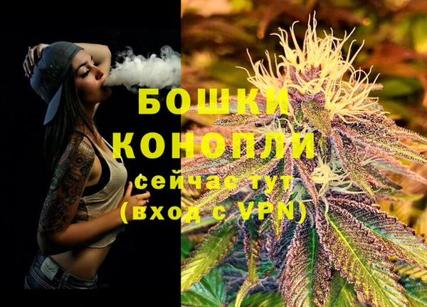 PSILOCYBIN Навашино