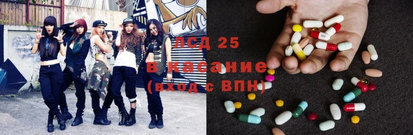 PSILOCYBIN Навашино