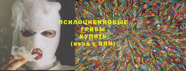 PSILOCYBIN Навашино